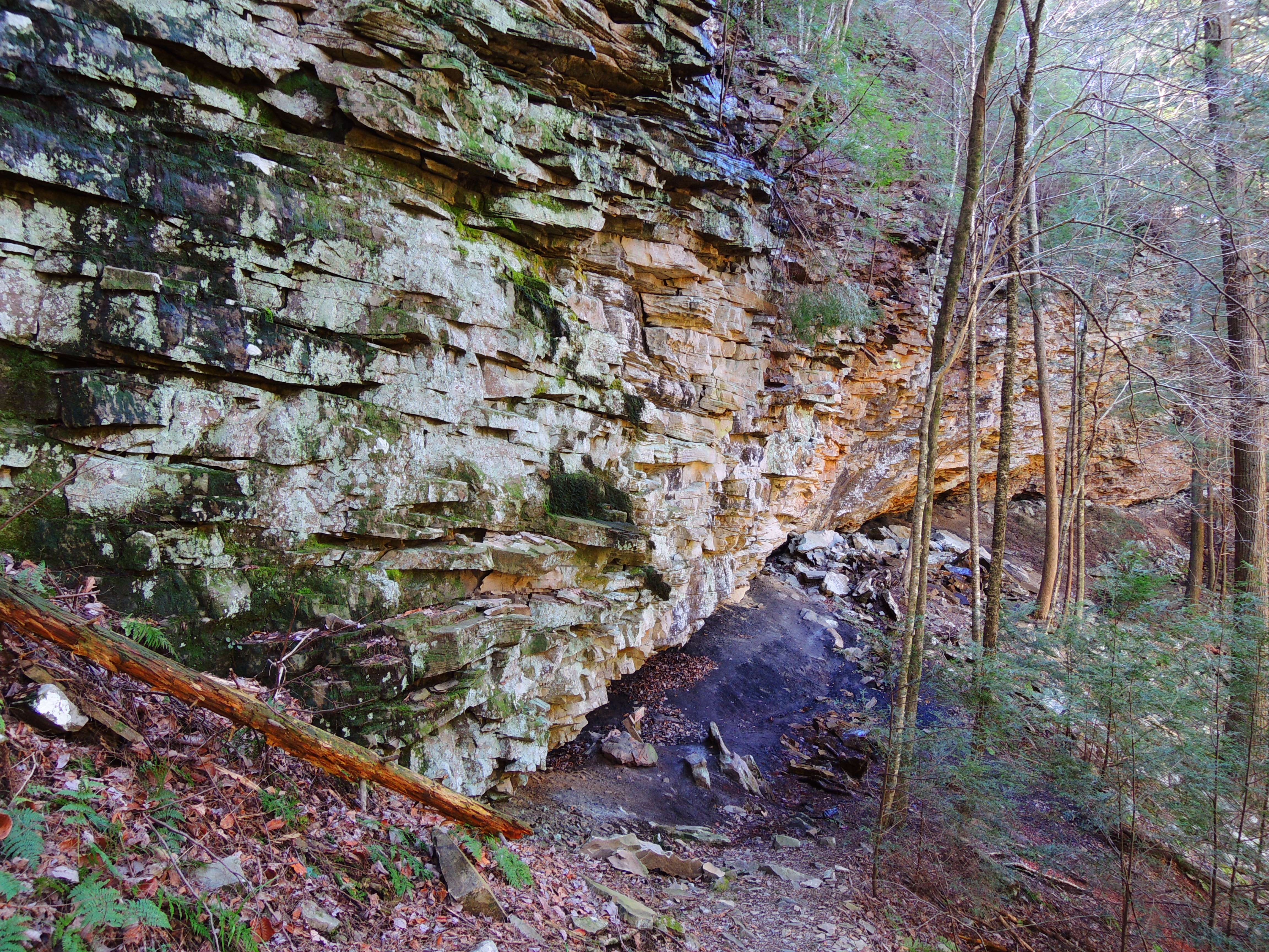 dscn9408y.jpg