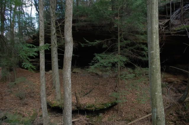 DSC_0295-1.jpg