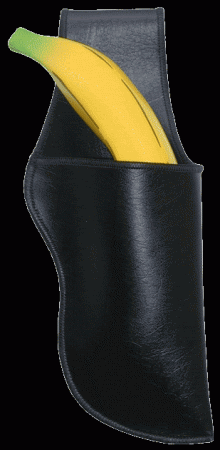 Holster_Blk-220x450.gif