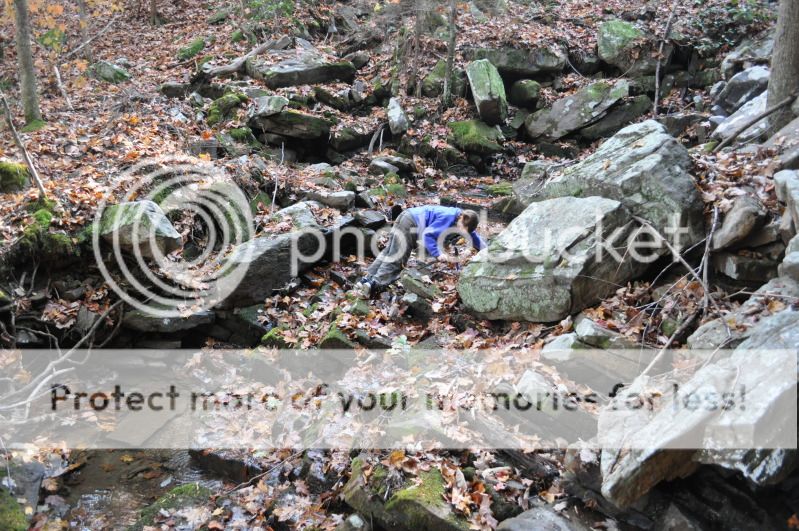 DSC_0194.jpg