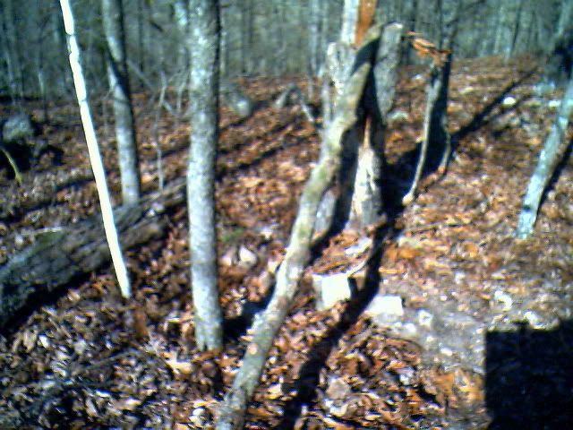IMG00943.jpg