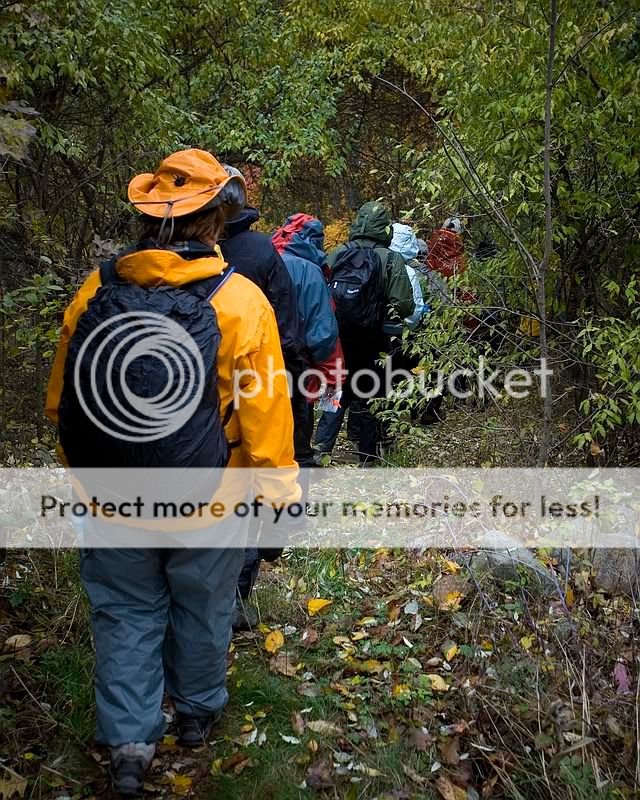 IMG_4781.jpg