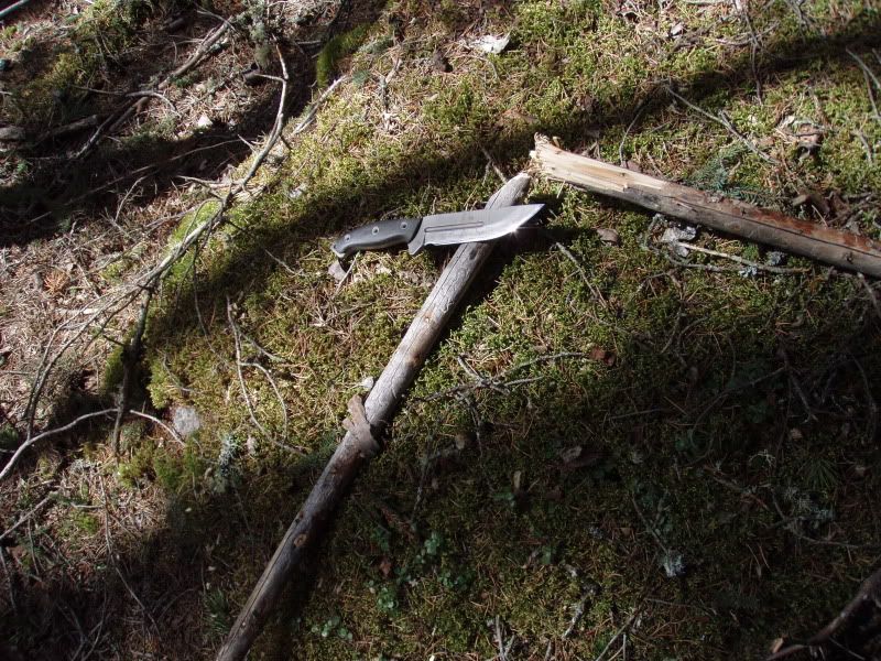 P1010069.jpg