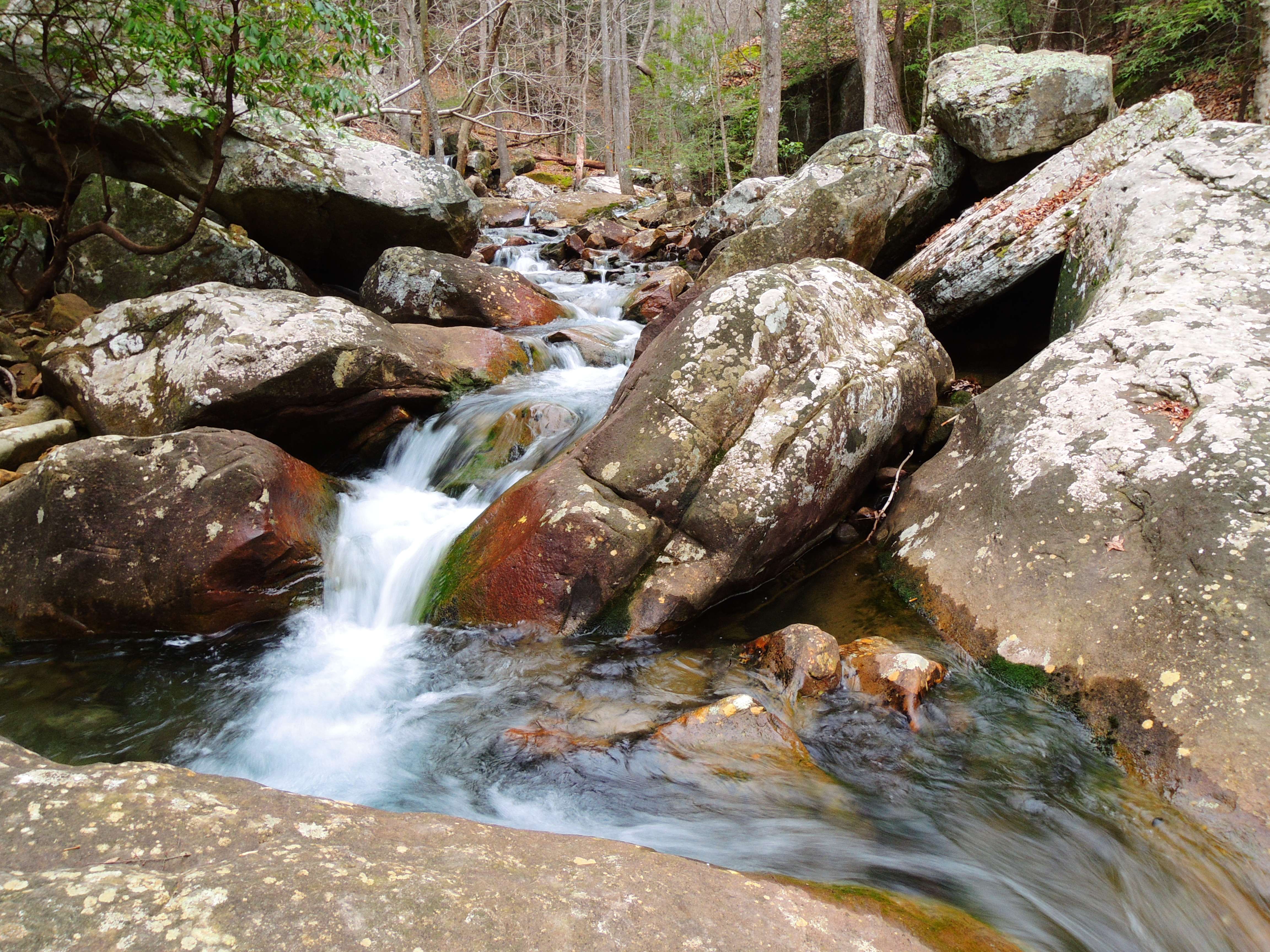 dscn7816s.jpg