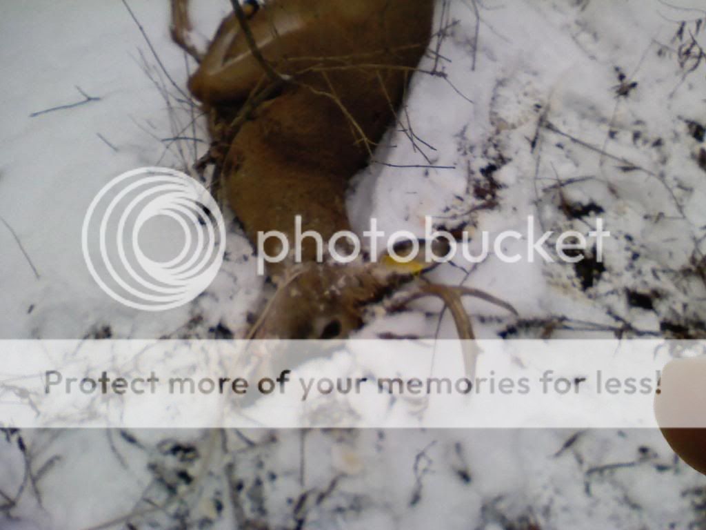 1204101059-00.jpg