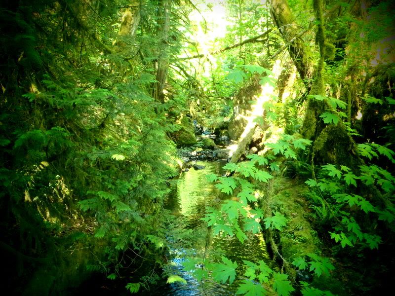 Goldstream2012004.jpg
