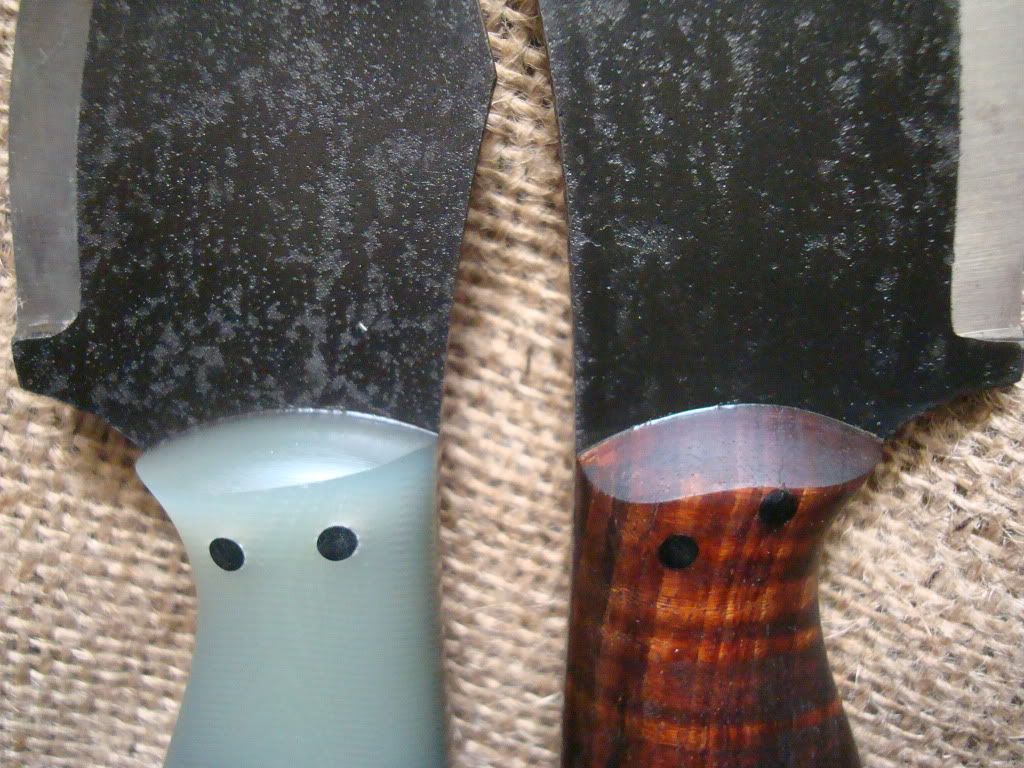 DSC09164.jpg