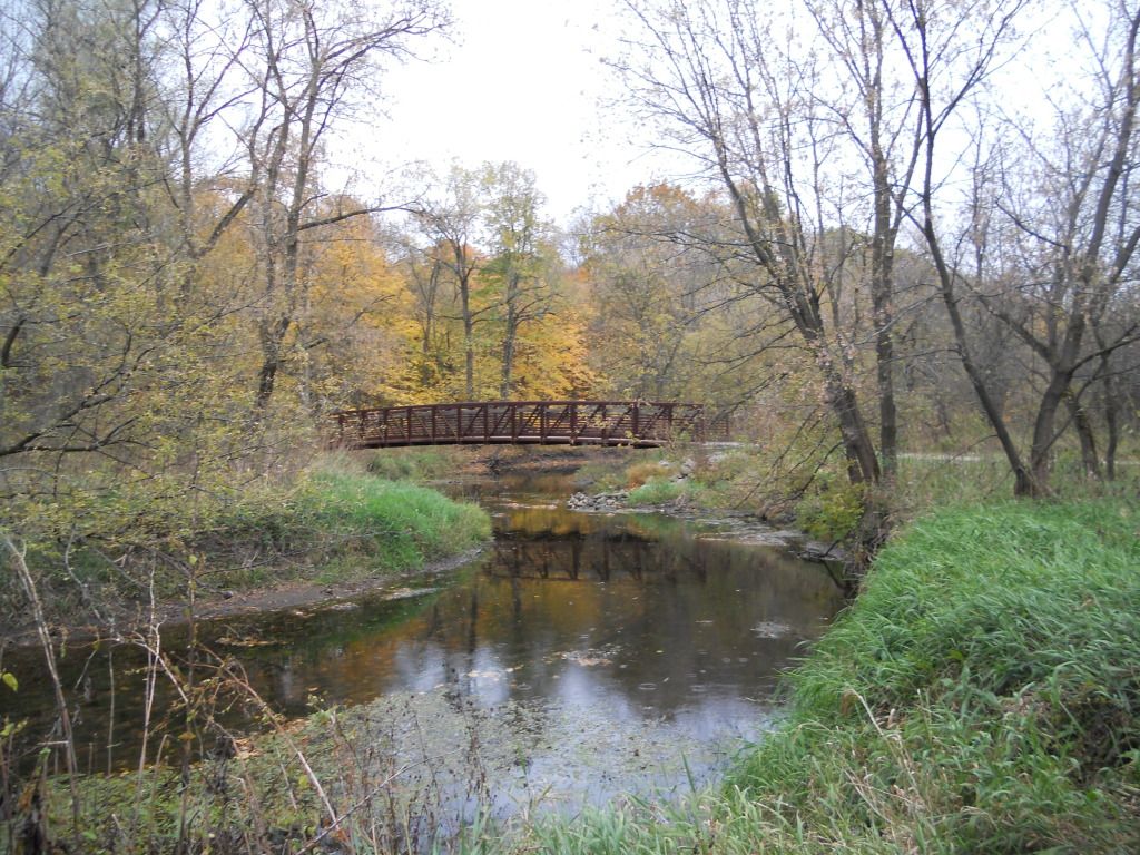 008-13.jpg