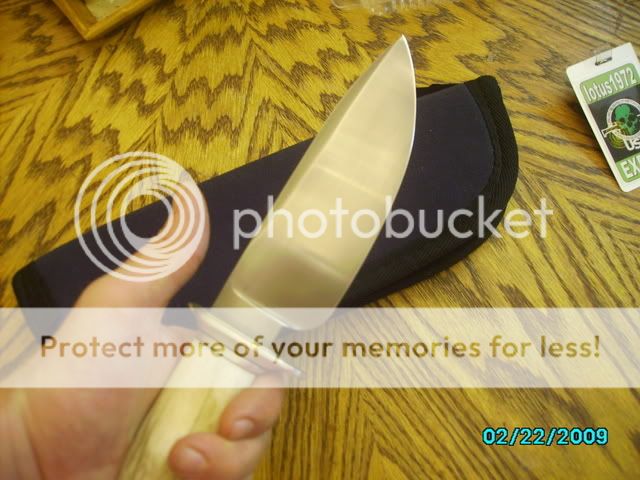 custom017.jpg