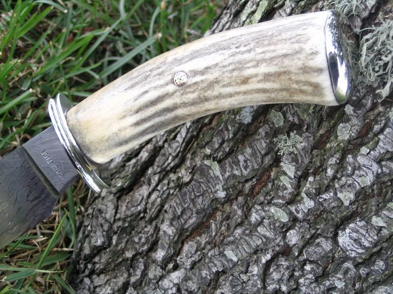 ElkBowie2.jpg