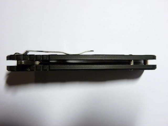 P1000568.jpg