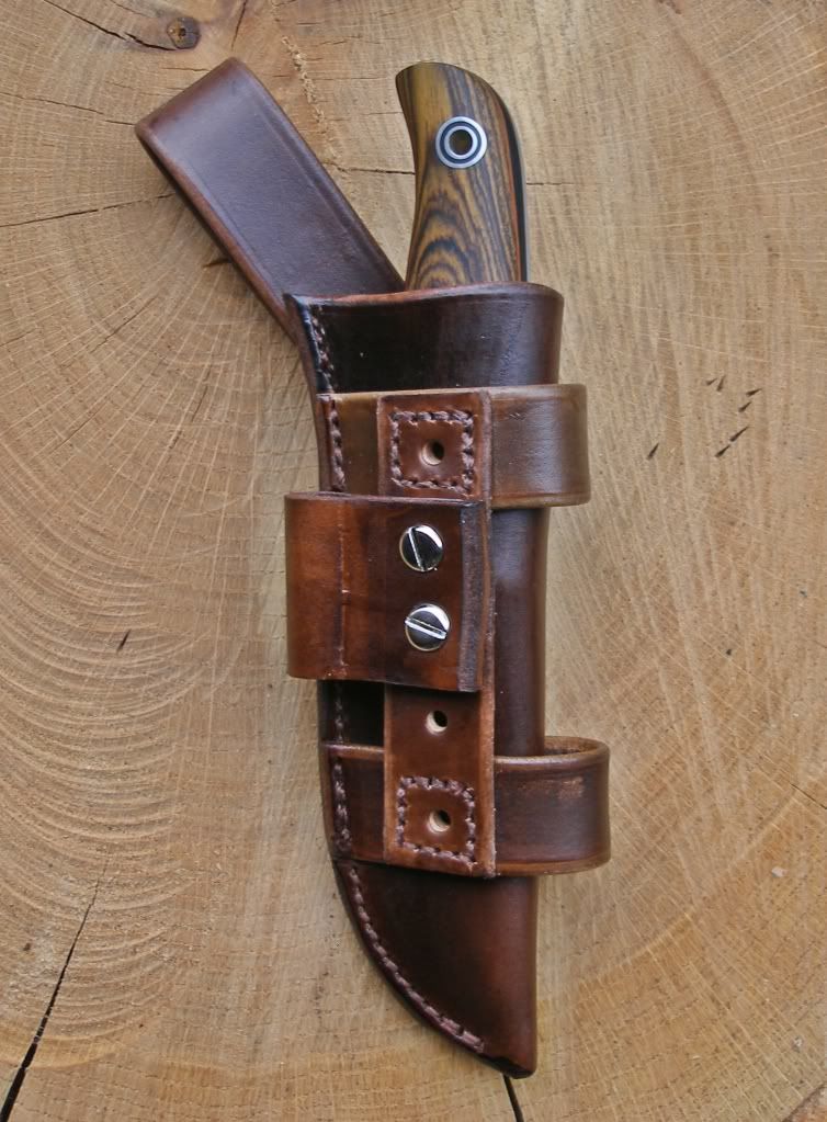 Fiddleback007.jpg