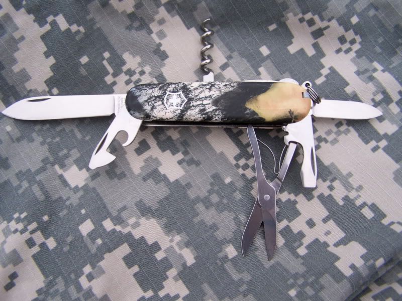 camoset2.jpg
