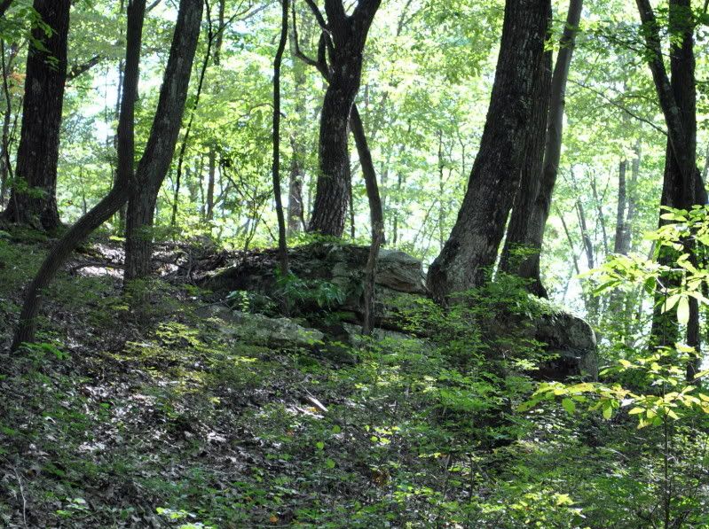 DSC_2458.jpg