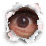 eye2LT.gif
