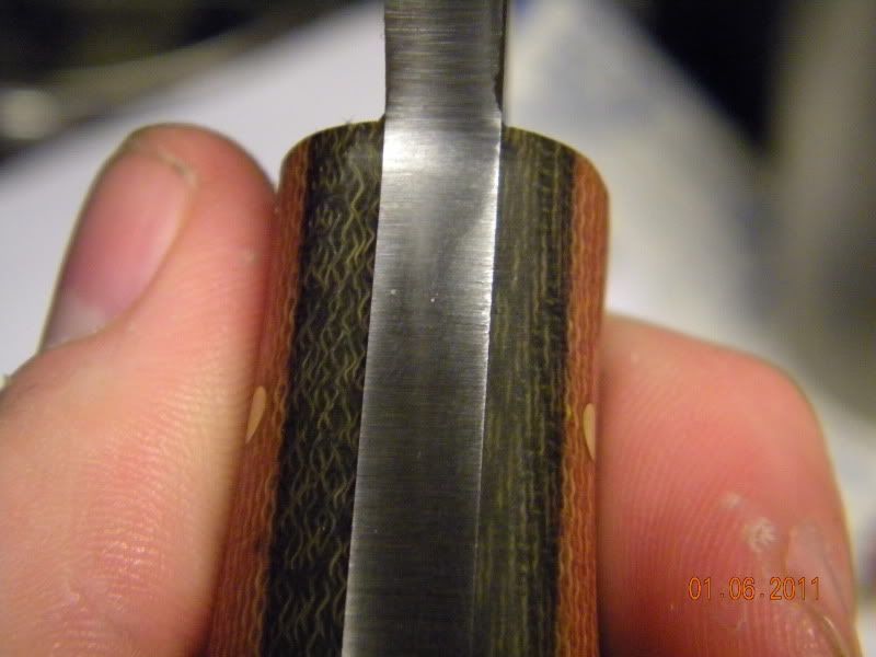 DSCN3272.jpg