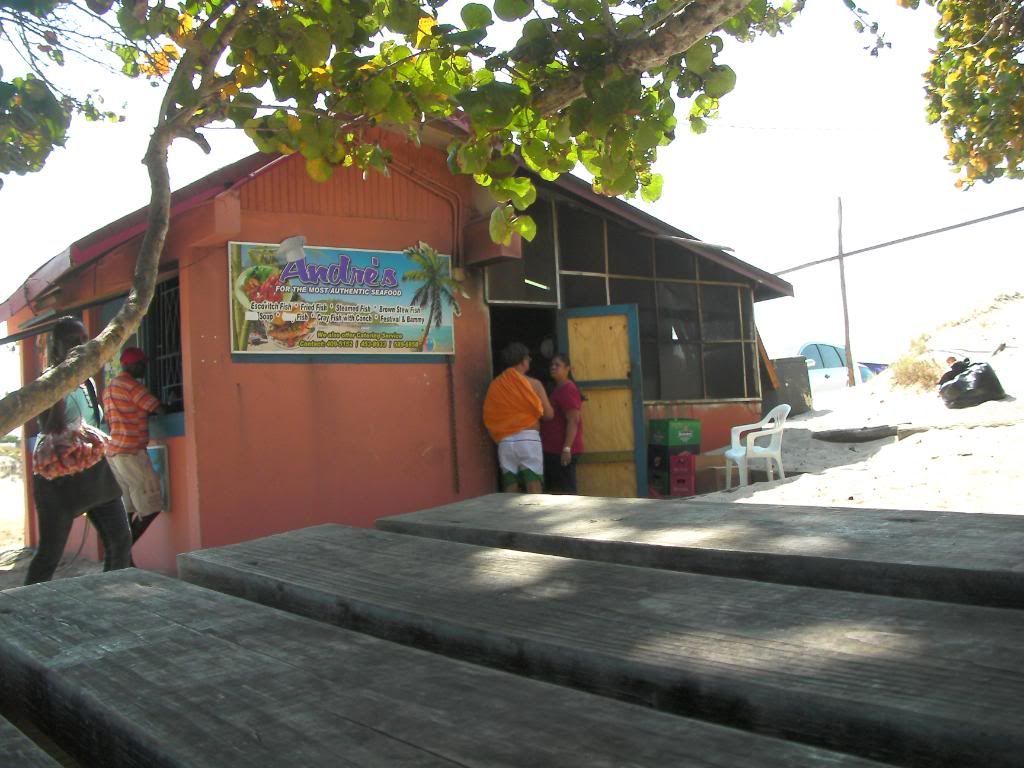 SANY0019.jpg
