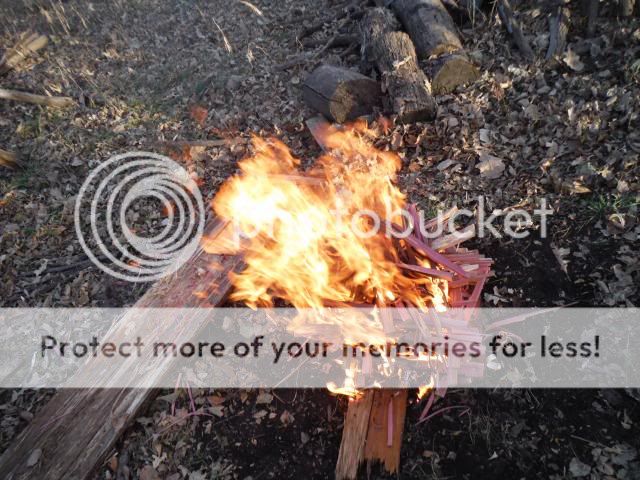 LogCabinFire3_zps59a4c5c8.jpg