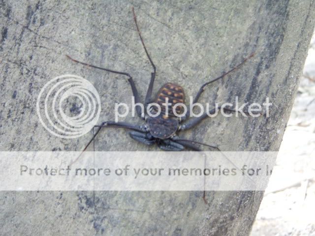 DSCF2510.jpg