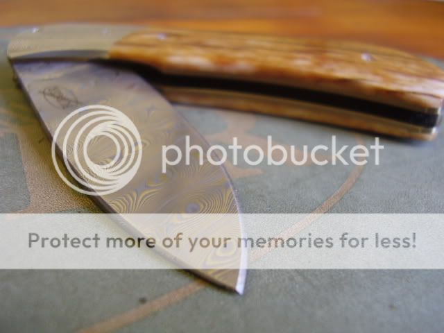 PC310256.jpg
