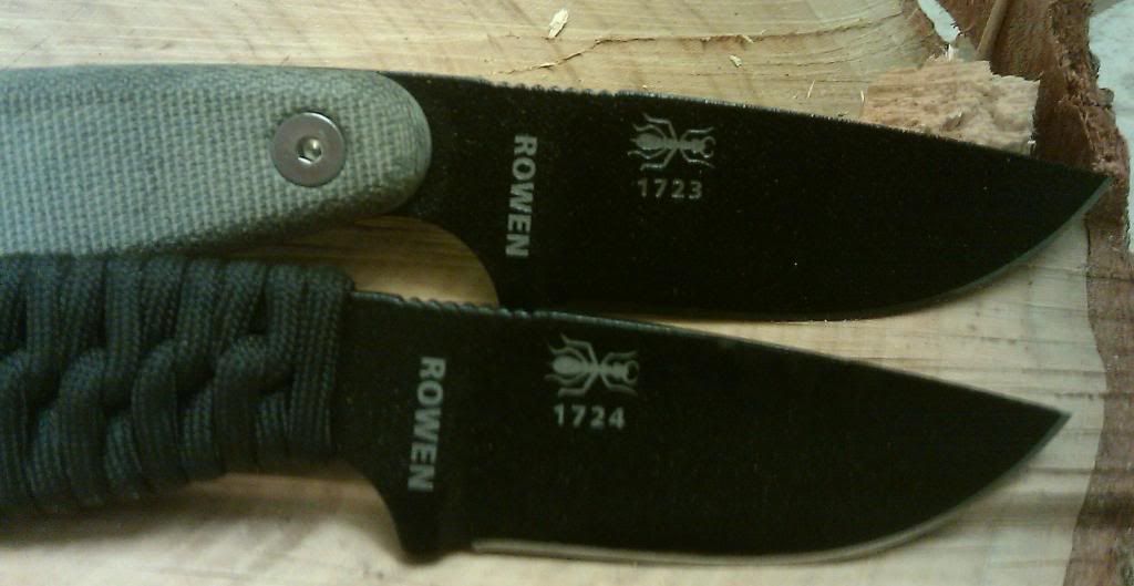 IMAG0386-1.jpg