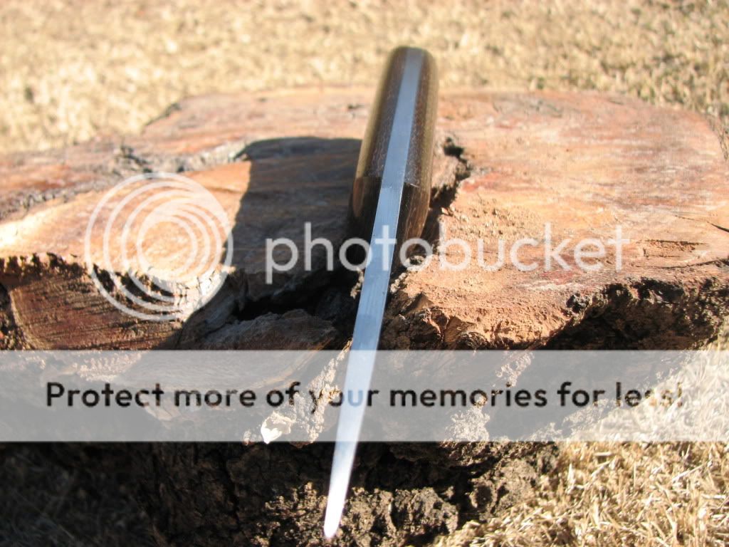 IMG_2968.jpg