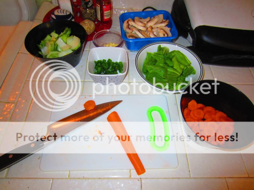 IMG_9059_zpsb01b5f0f.jpg