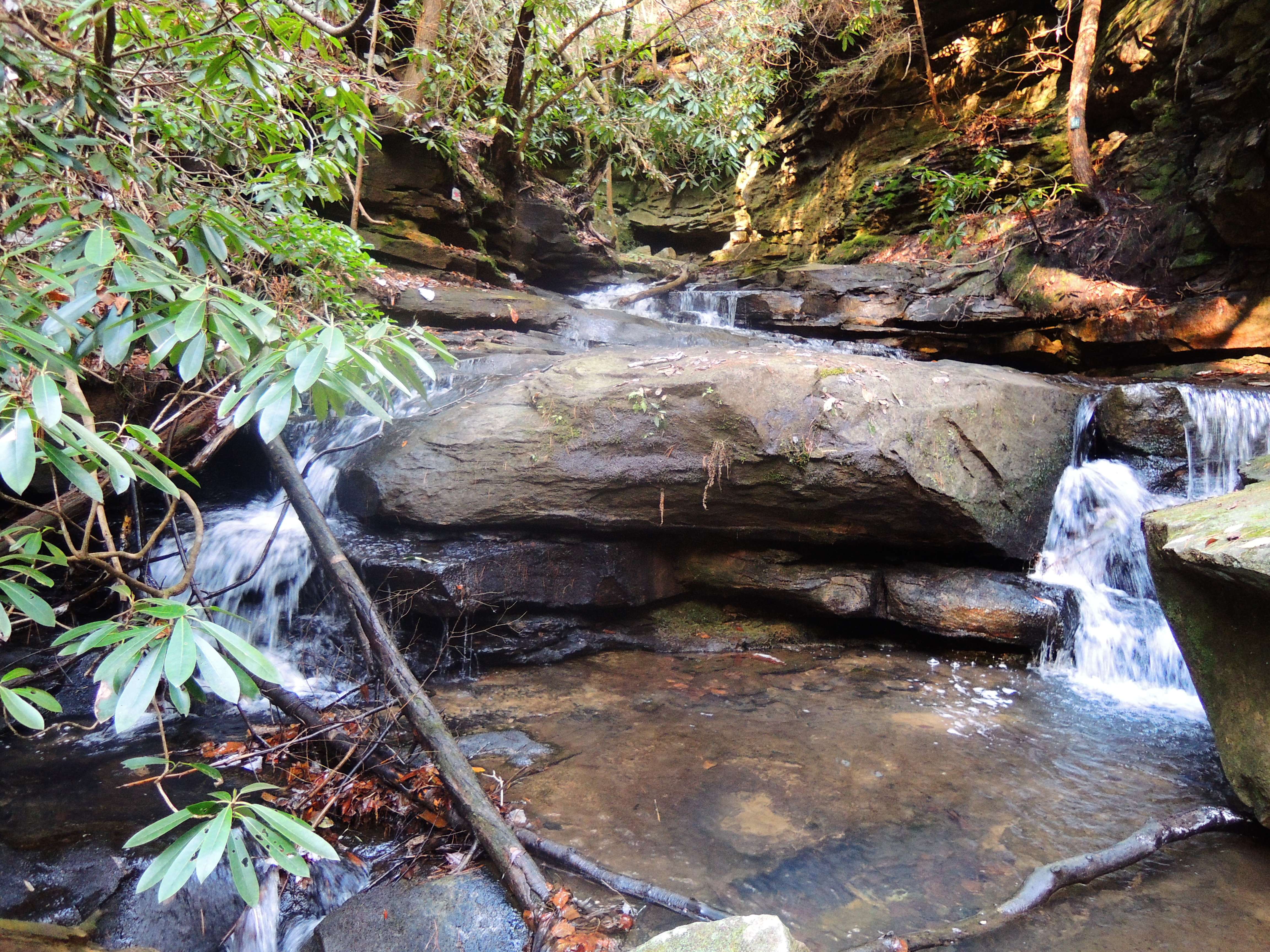 dscn5057w.jpg