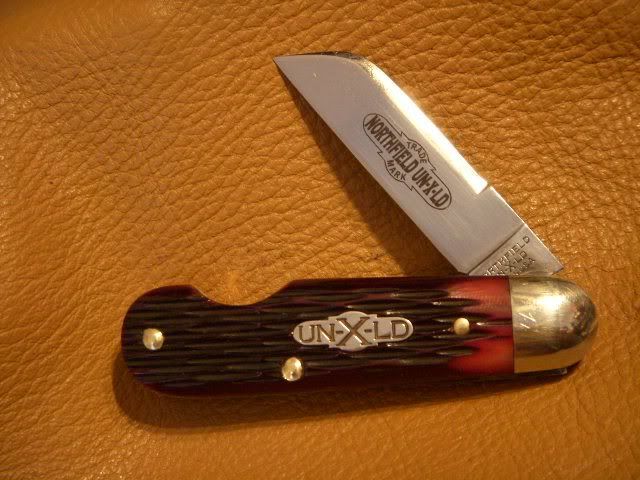 DSCN8308.jpg