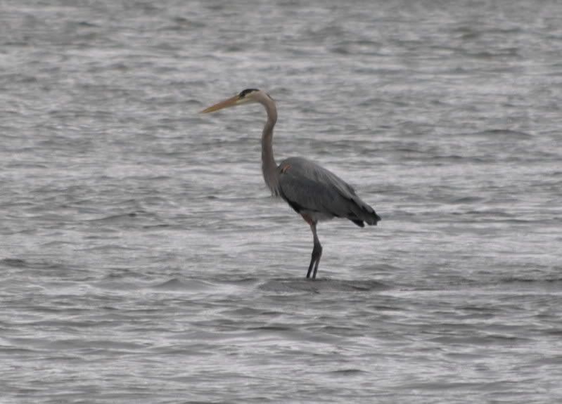 DSC_1249.jpg