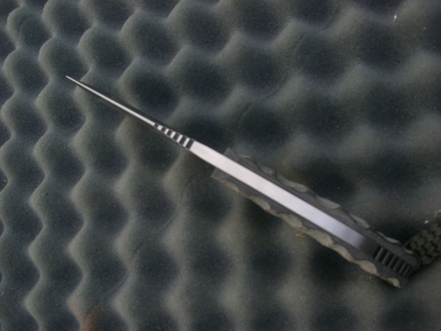 CIMG1191.jpg