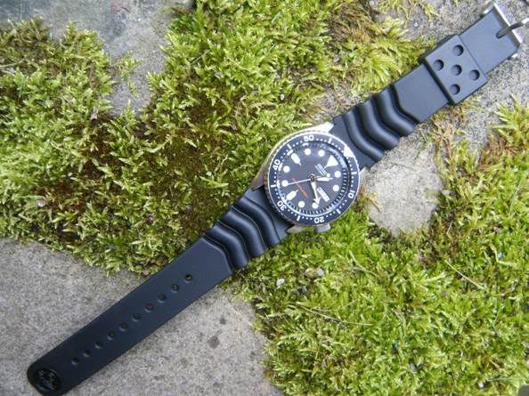 SKX007003.jpg