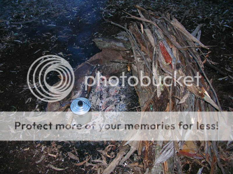 Dryingfirewood.jpg