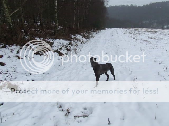 2010_01130007.jpg