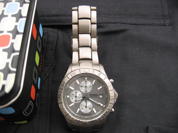 Fossil_Ti_01_02.gif
