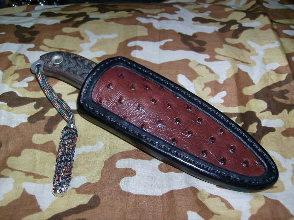 SANY0426.jpg
