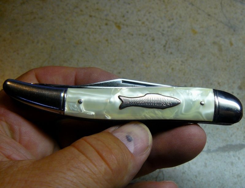 09-09-2012SchradeFishfolder011.jpg