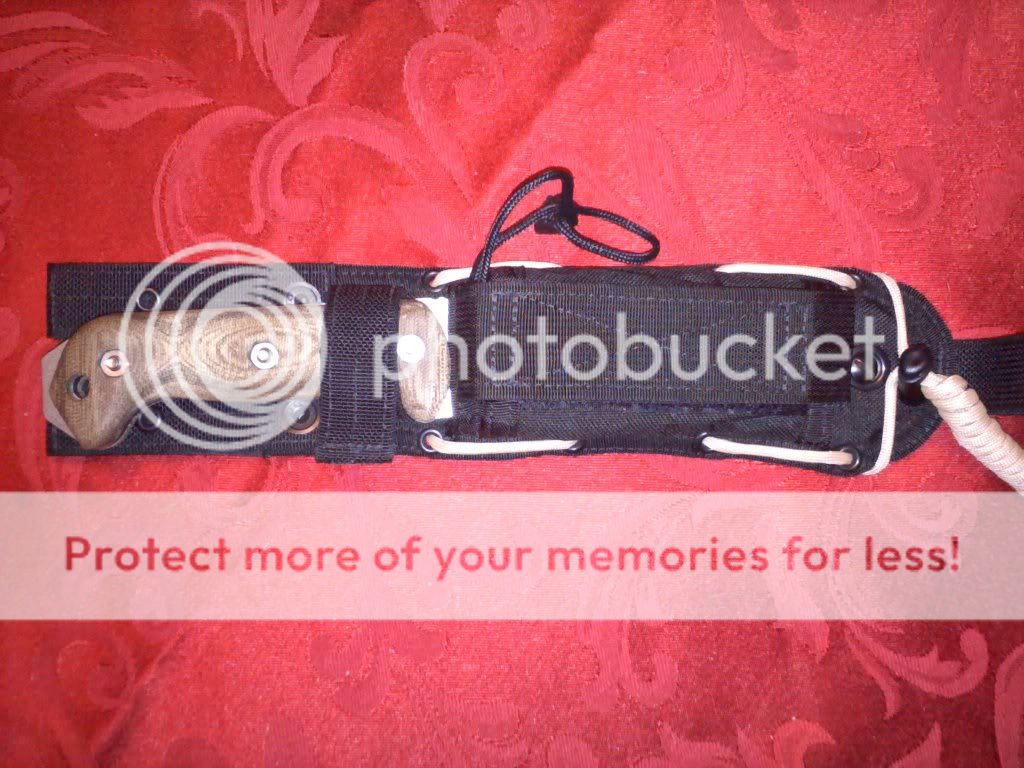 20101205184923.jpg