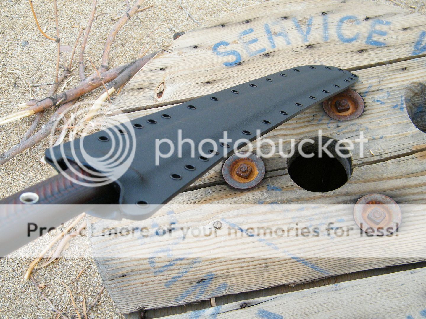 DSCF7795.jpg