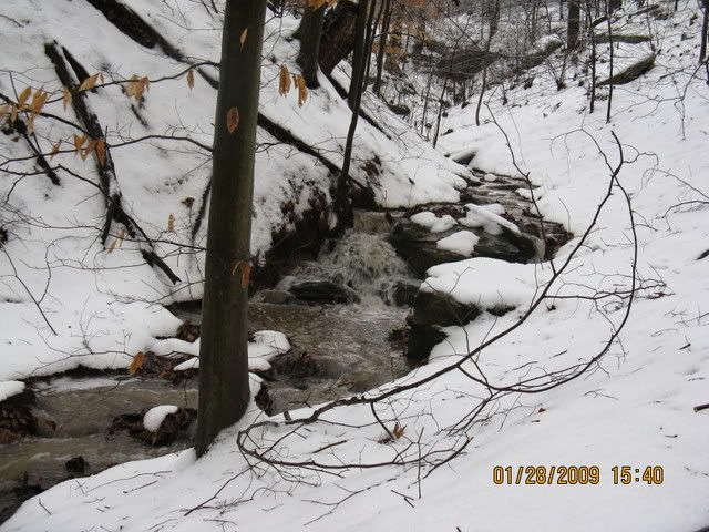 snowdayforthepets073.jpg