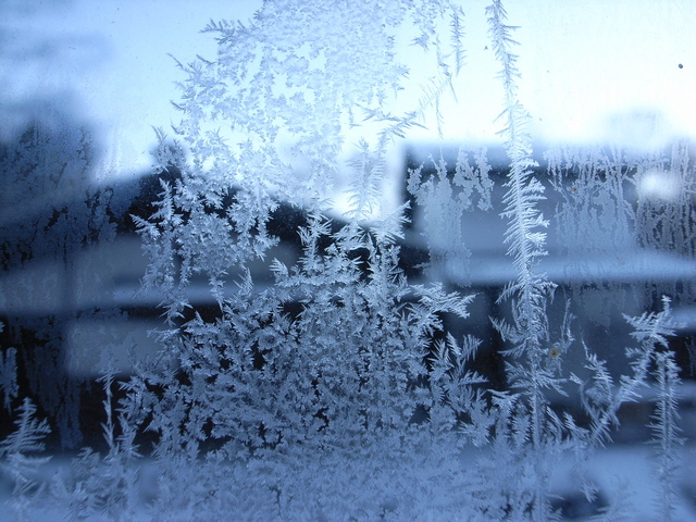 2008.12.02.R0017237.JPG