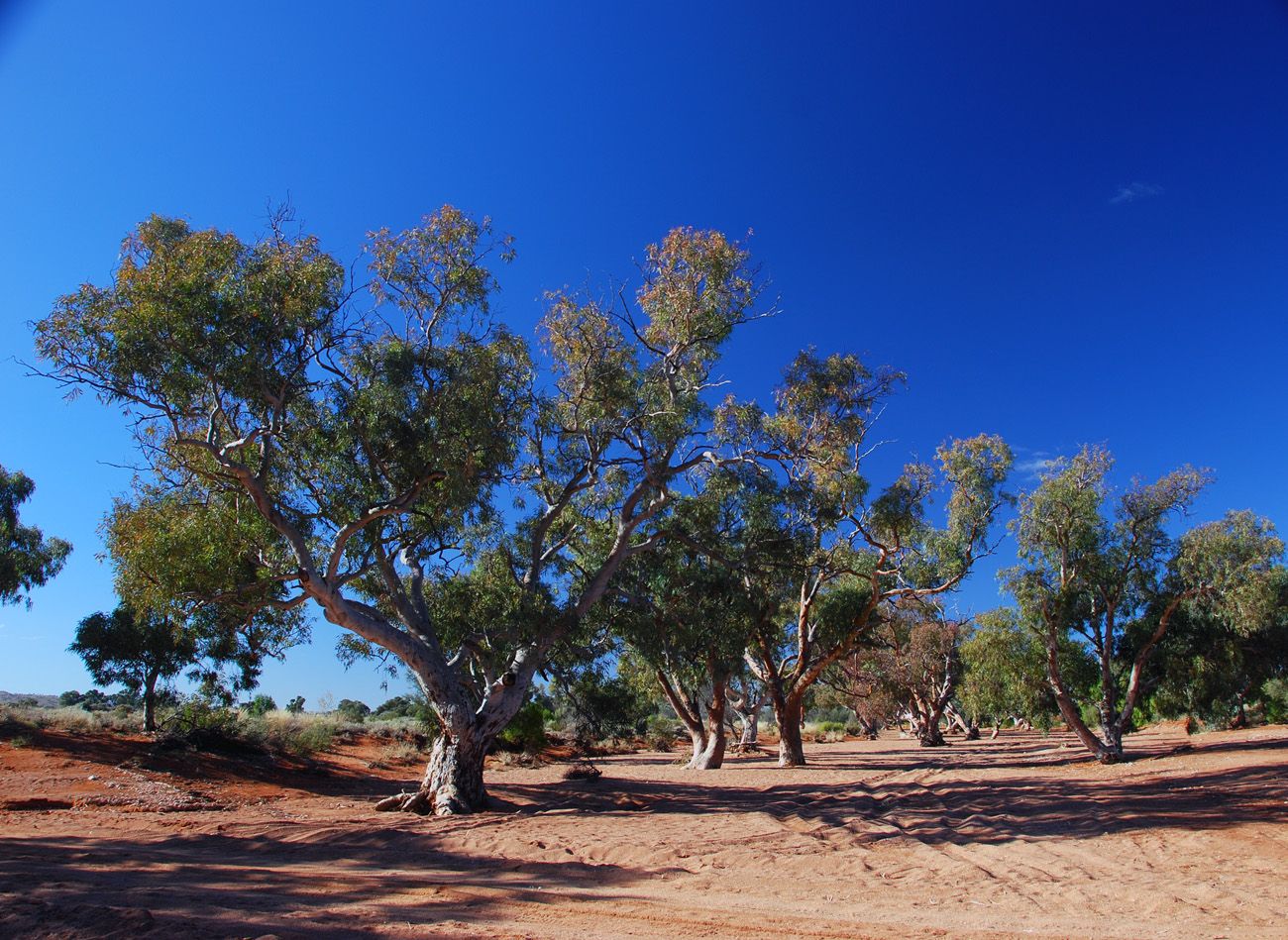 BrokenHill2.jpg