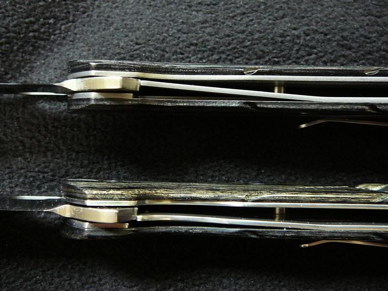 P1080066.jpg