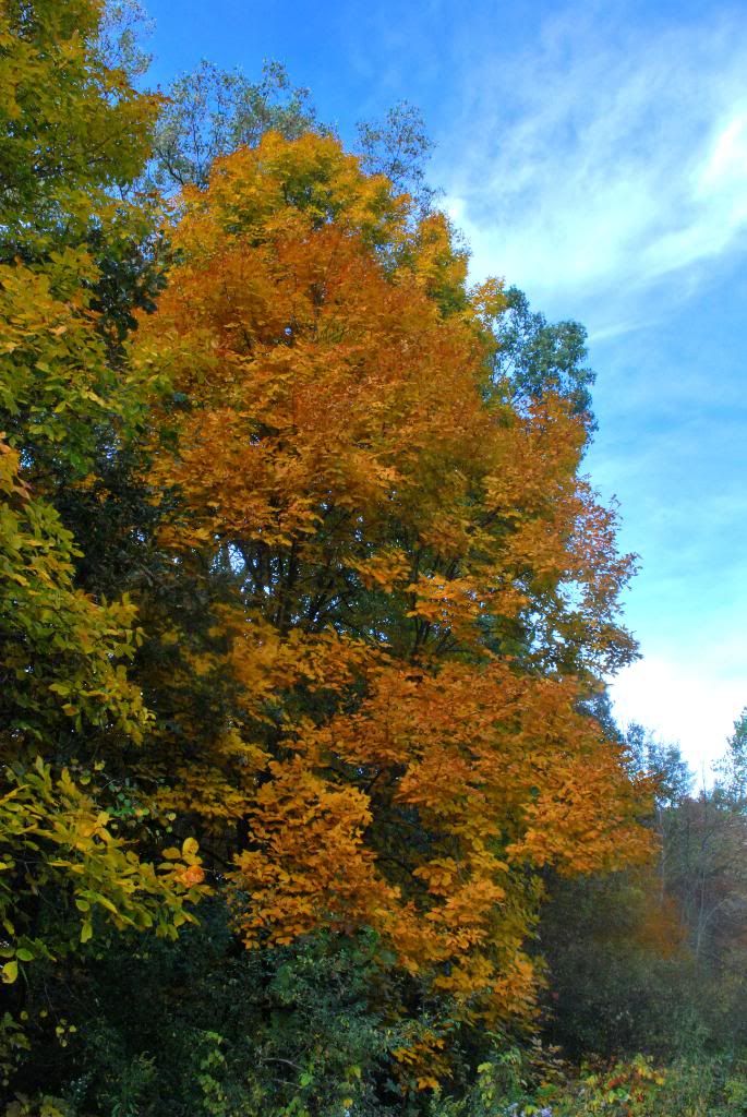 DSC_0027-7.jpg