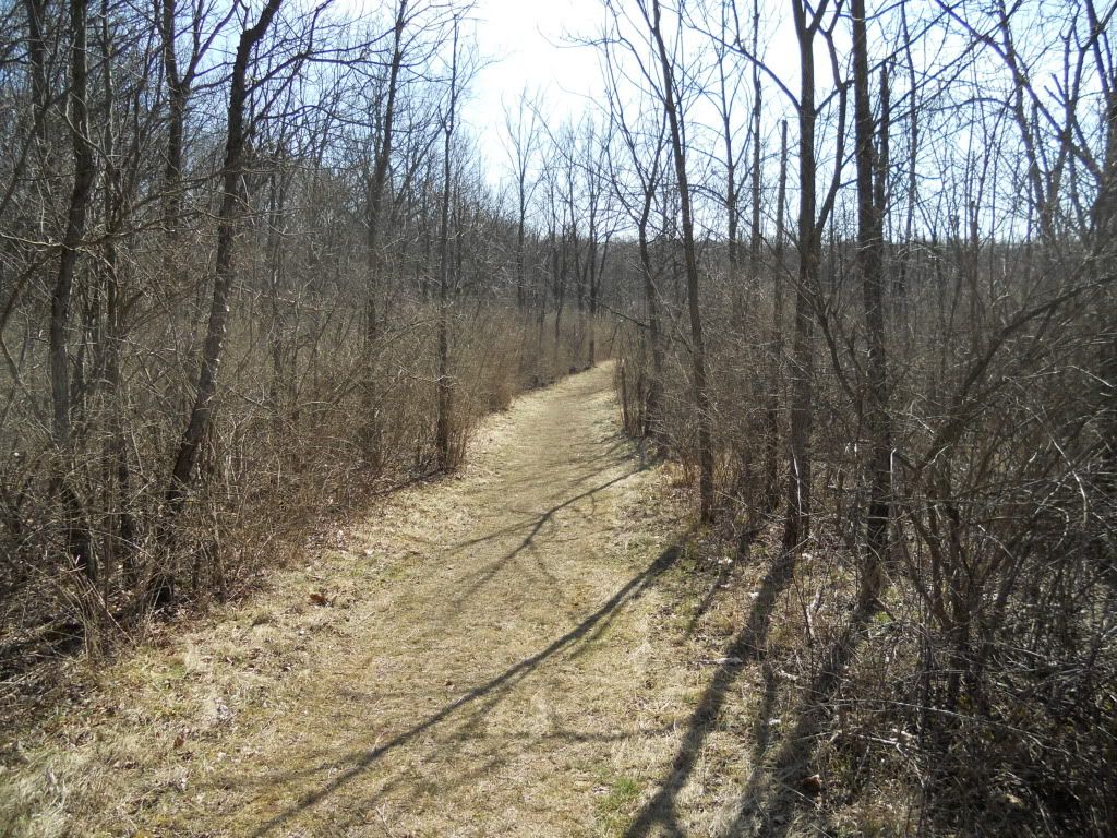 028-2.jpg