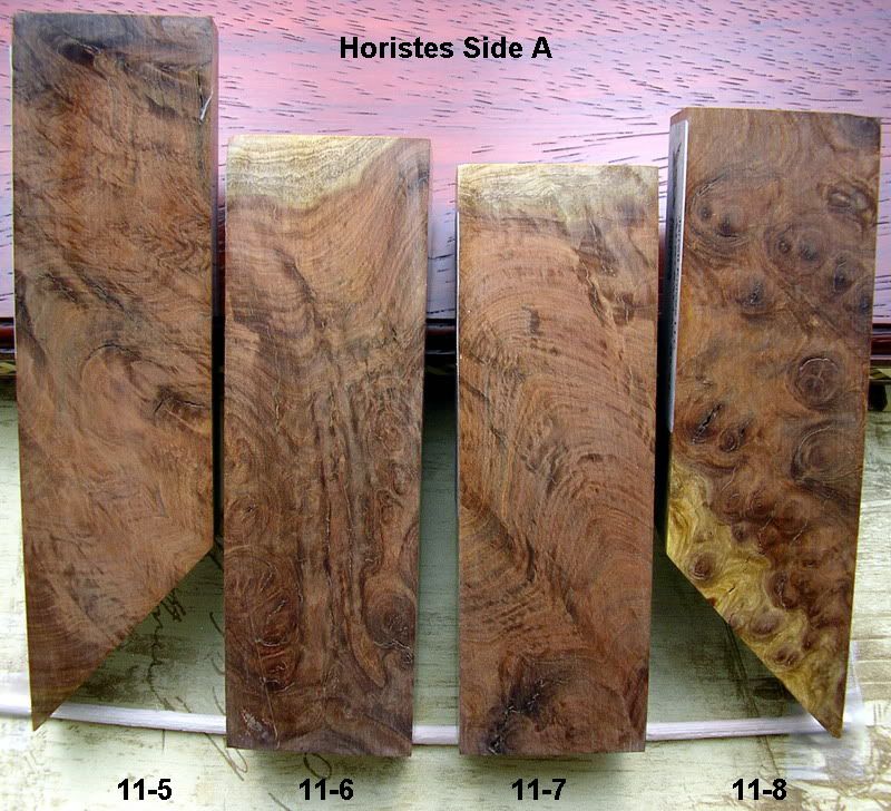 Horistes115thru118sideA.jpg