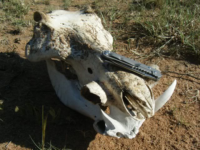 DSCF2102.jpg