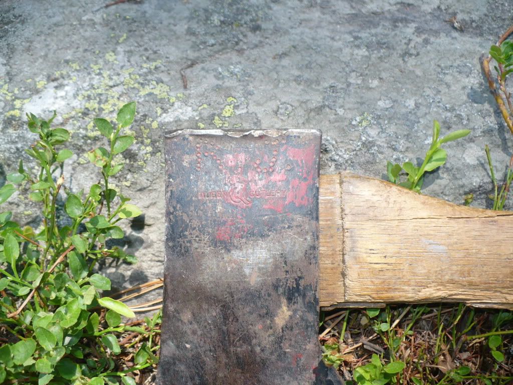 P1020328.jpg
