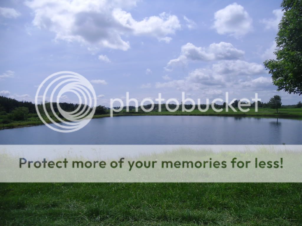 PICT0004-56.jpg