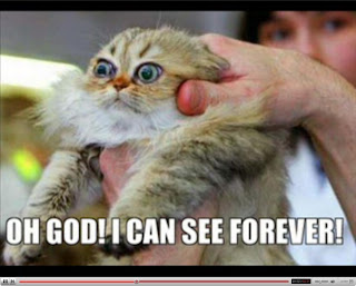 ICanSeeForever.JPG